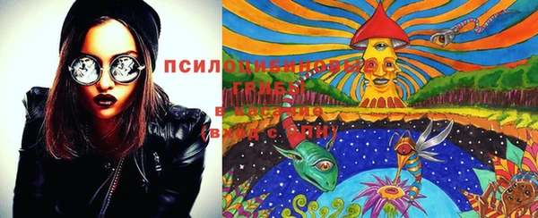 прущий лед Алексин
