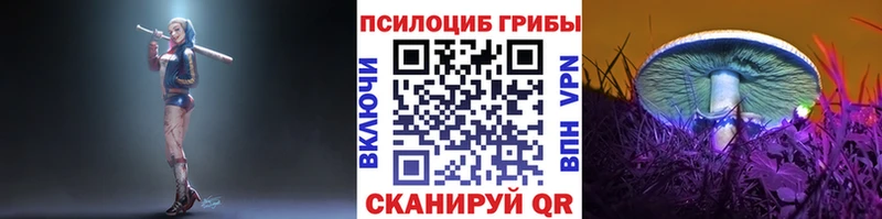 hydra как войти  Чебаркуль  Псилоцибиновые грибы GOLDEN TEACHER 